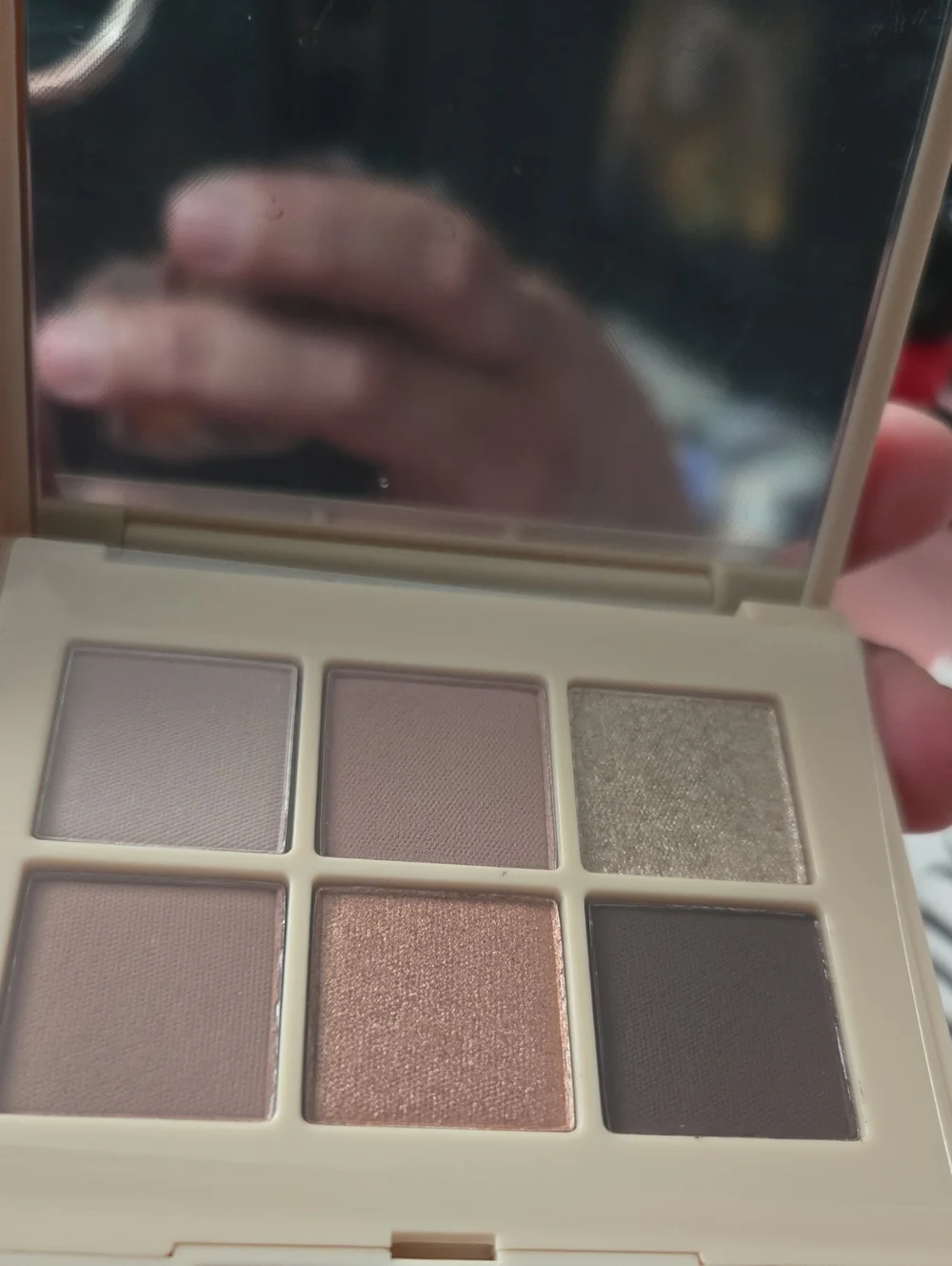 DIBS the Palm Palette Eyeshadow